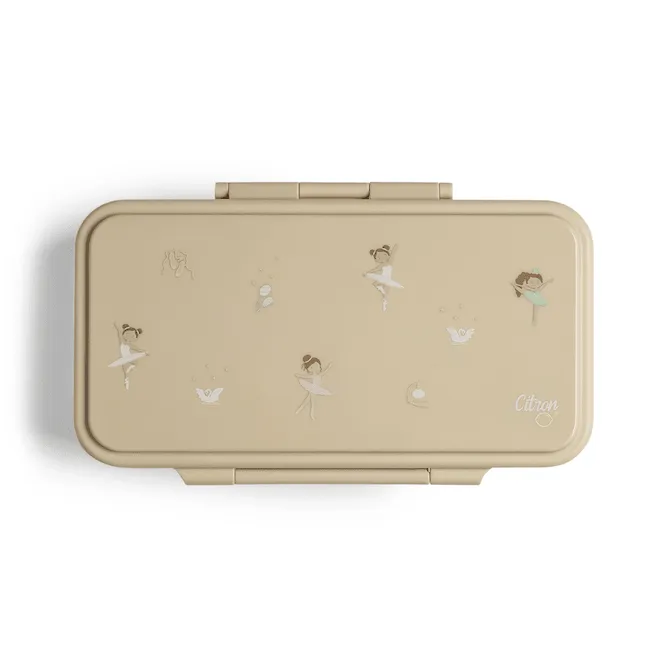 2023 Rectangle Lunchbox