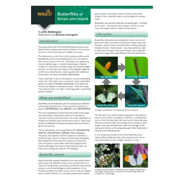 Butterflies of British Isles and Ireland Guide
