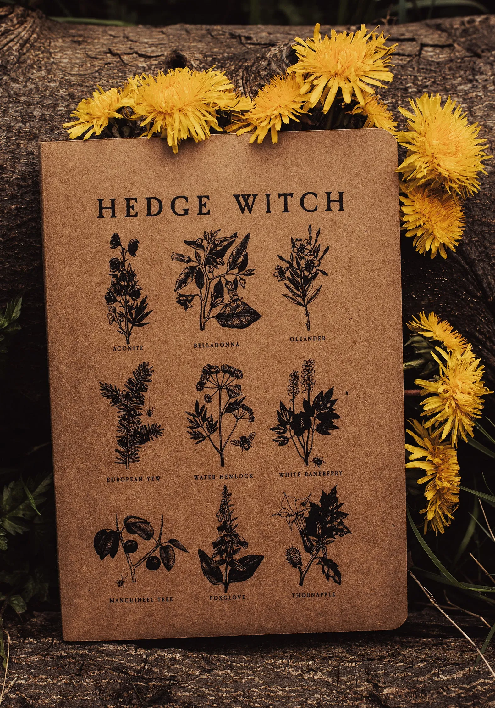 Hedgewitch A5 Journal