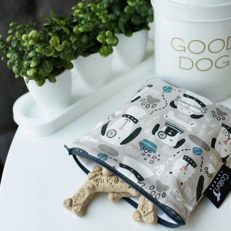 Large Snack Bags