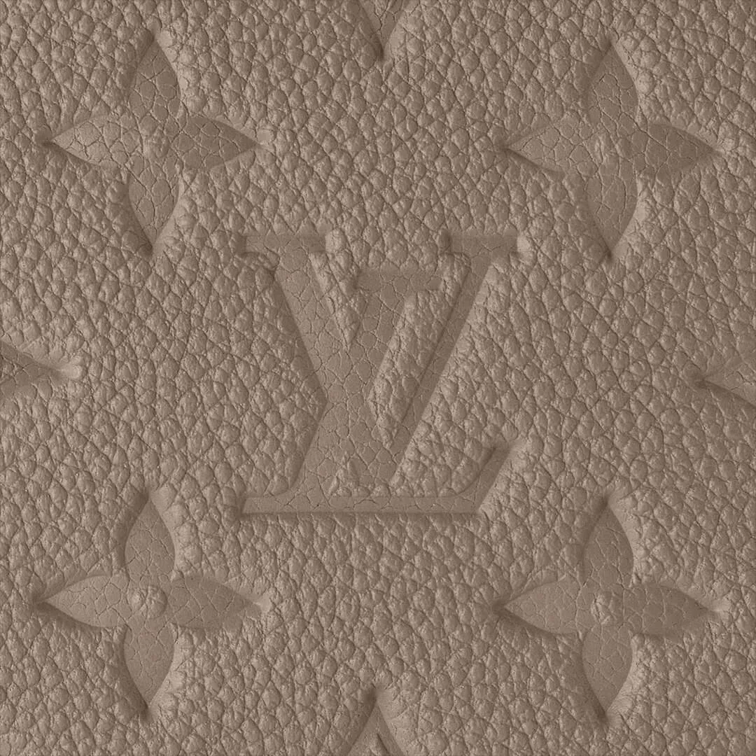 Louis Vuitton Easy On Strap Bag, grey-beige