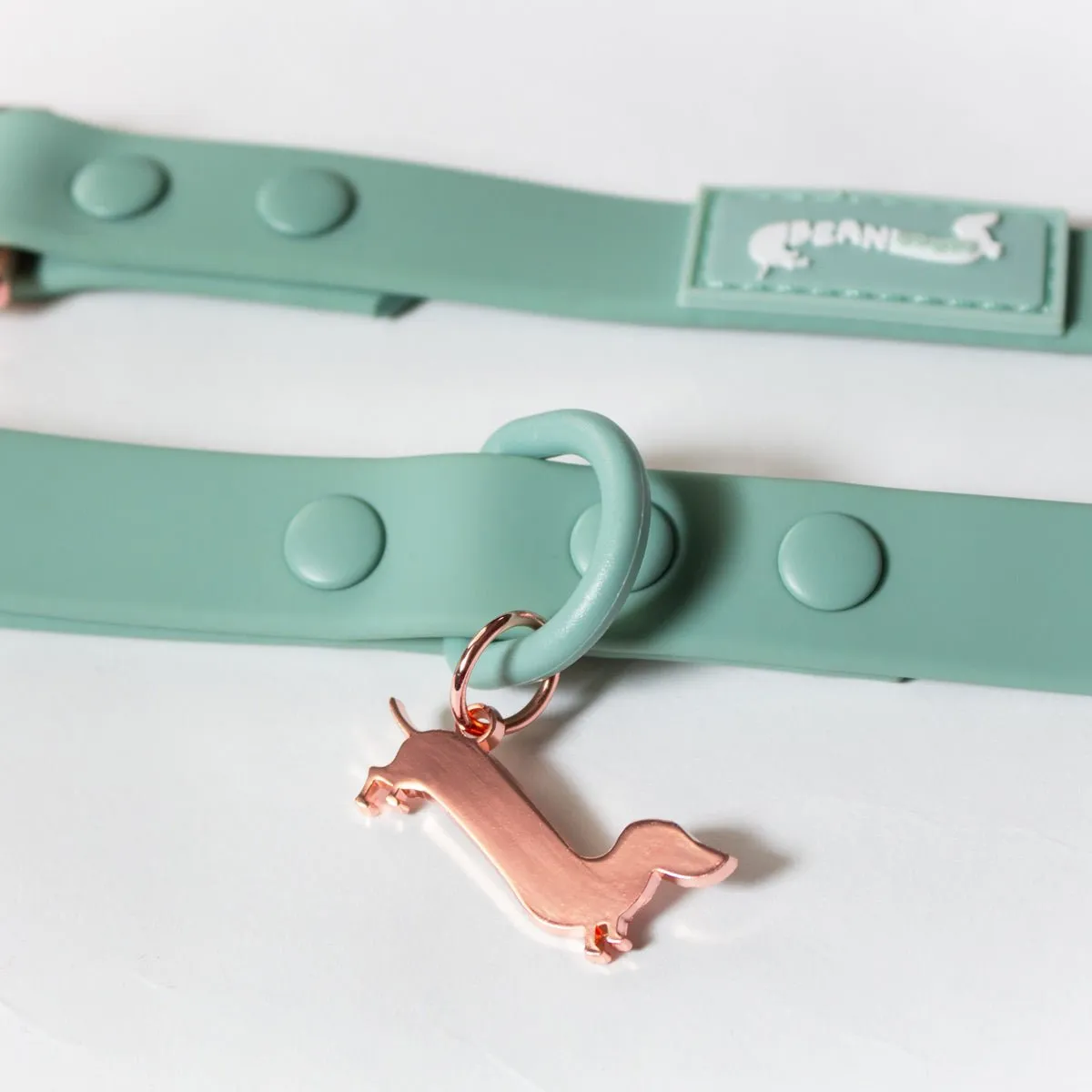 waterproof easy-clean leash - sage