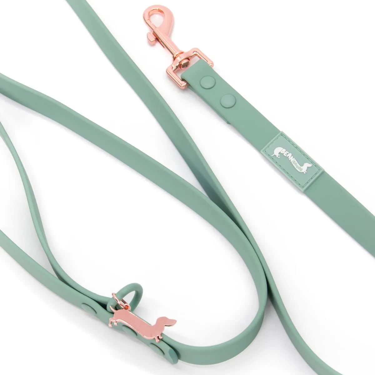 waterproof easy-clean leash - sage