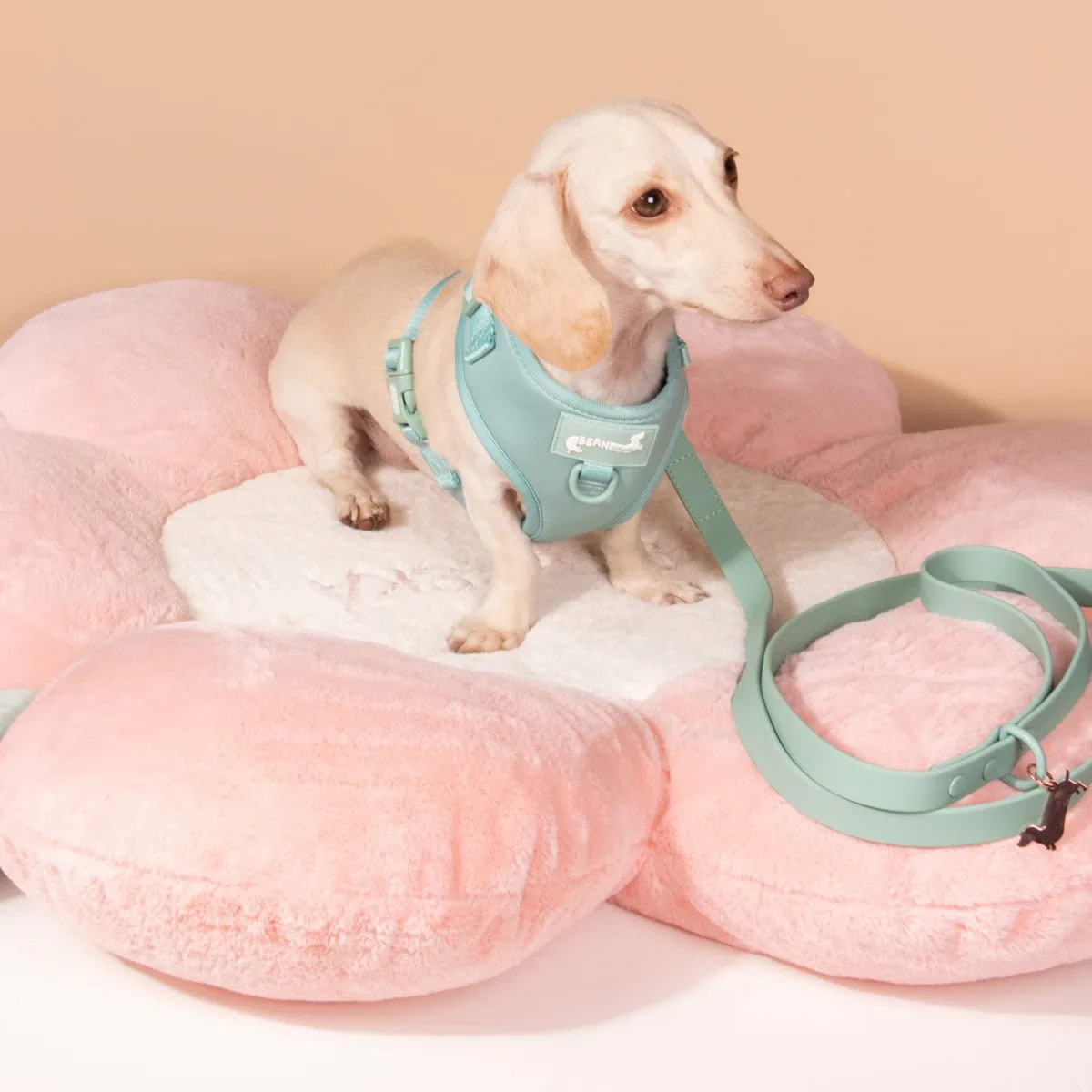waterproof easy-clean leash - sage