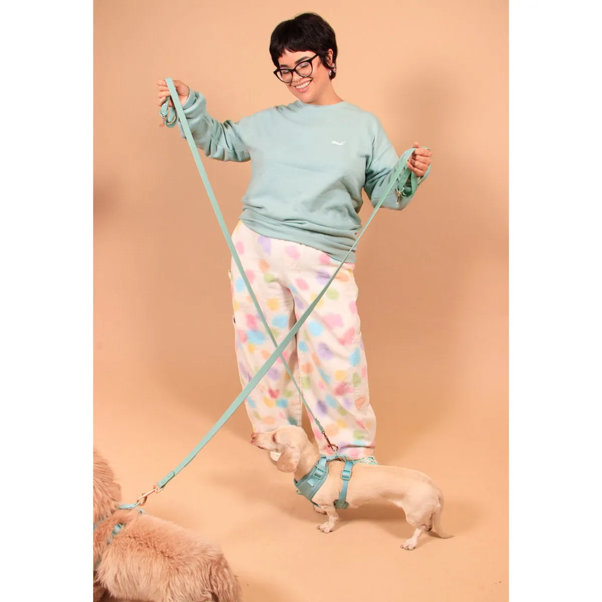 waterproof easy-clean leash - sage