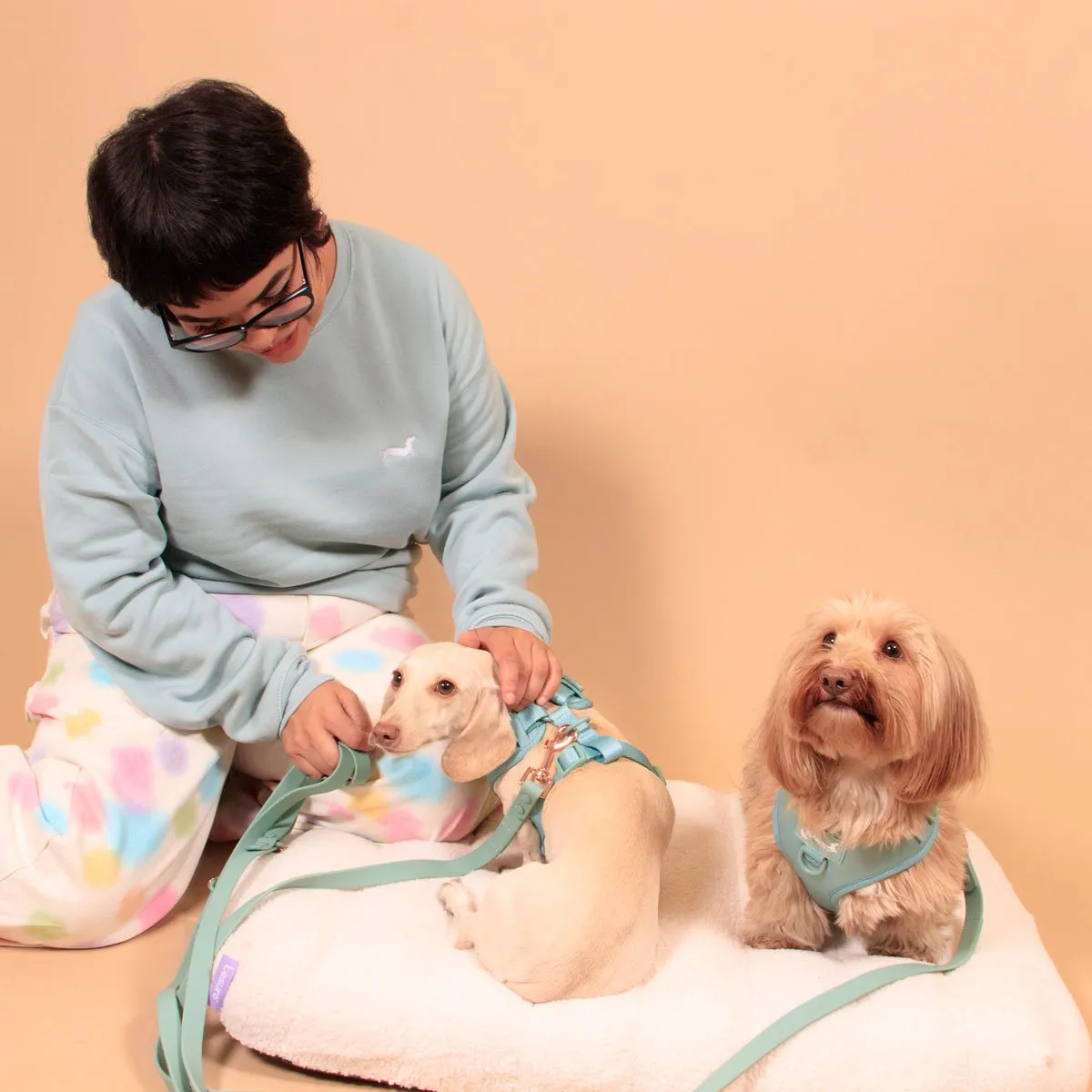 waterproof easy-clean leash - sage